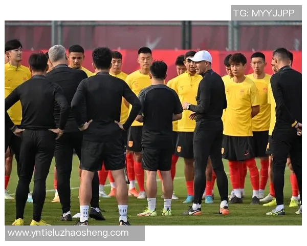 黑色足球明星的传奇之路与他们的辉煌成就探秘